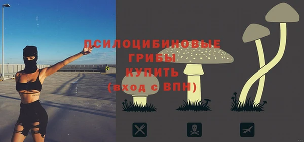 шишки Бугульма