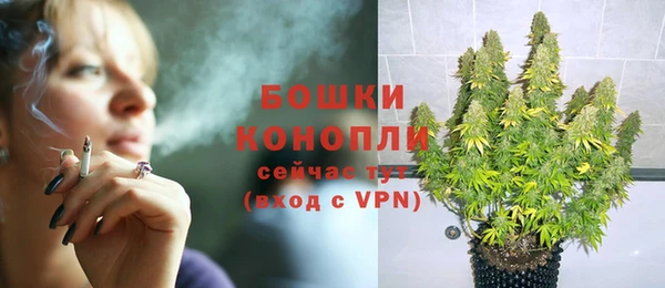 ПСИЛОЦИБИНОВЫЕ ГРИБЫ Сясьстрой