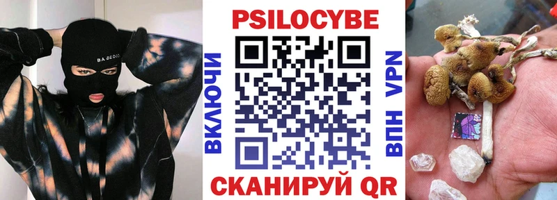 Галлюциногенные грибы Psilocybe  Ковдор 